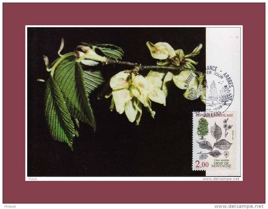 Lot De 2 CM N° 2384-2385 " Flore Et Faune  De France " CAD De ORLEANS Du 21 Sept 1985 En Parfait état + Prix Dégressif. - Collections, Lots & Series