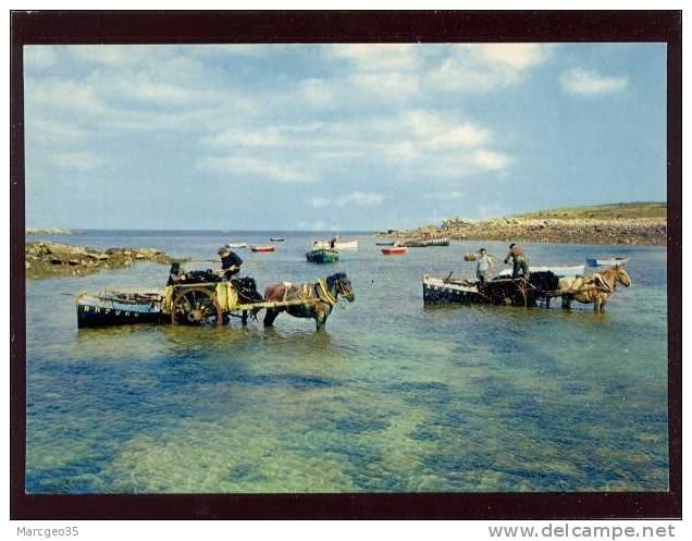 Lilia-Plouguerneau Bateaux édit. Artaud N°8 - Plouguerneau