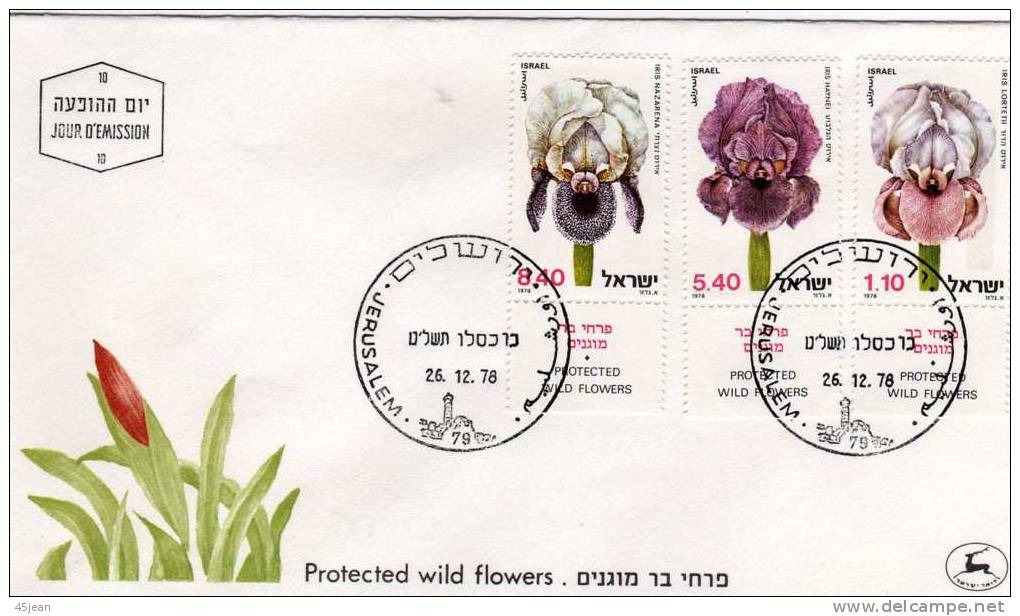 Israel: 1978 Très Belle Fdc Fleurs Sauvages "les Iris" - FDC