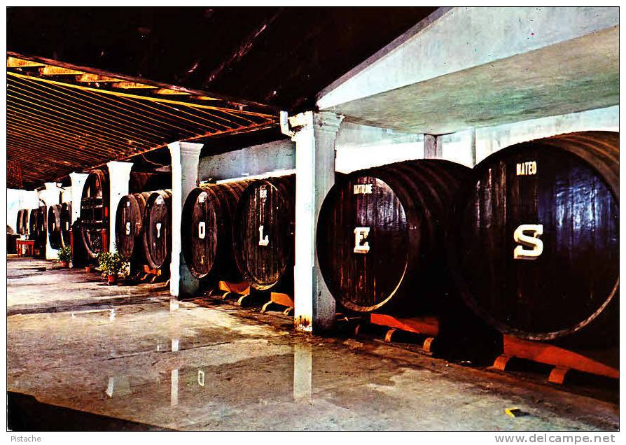Espana Spain - Espagne - Cadiz Cadix - Bodegas Cellar - Vin Wine - 1975 - Neuve Unused - Cádiz