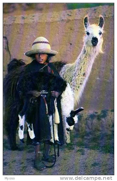 Bolivie Nina Con LLamas Vilacayma, Fillette, Lamas - Bolivia