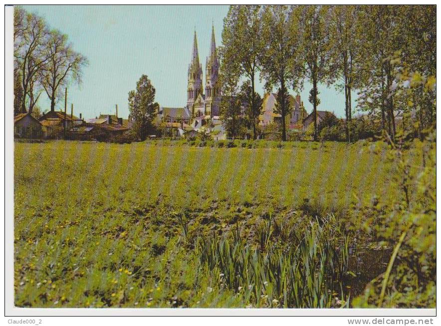 MACHECOUL . L'église De La Trinité . Voir Recto - Verso  (L575) - Machecoul