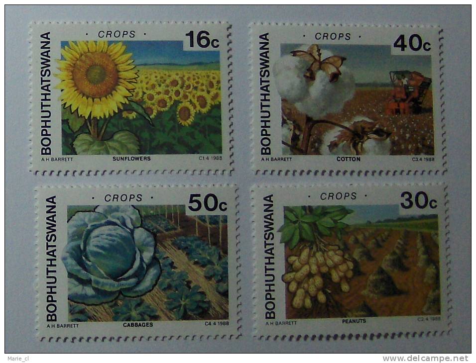 Lot 4 Timbres Végétaux Bophuthatswana - Légumes