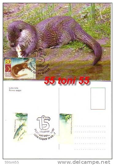 Bulgaria / Bulgarie  2007, FAUNA  - Otter   ( Reserve Ropotamo ) Maximum Cards - FDC