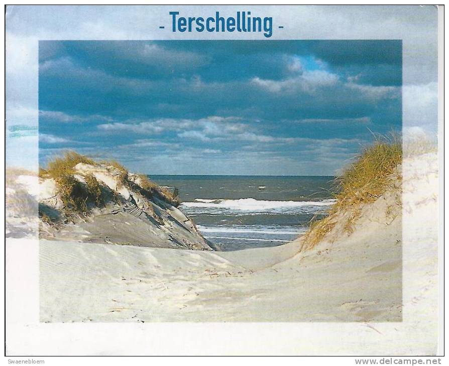 NL.- Terschelling - Strand - Zee - Duinen - - Terschelling