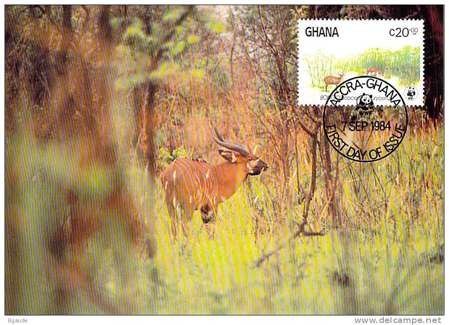 GHANA   WWF CARTE MAXIMUM NUM.YVERT  853  PROTECTION DE LA NATURE  OISEAU  ANTILOPE BONGO - Maximum Cards