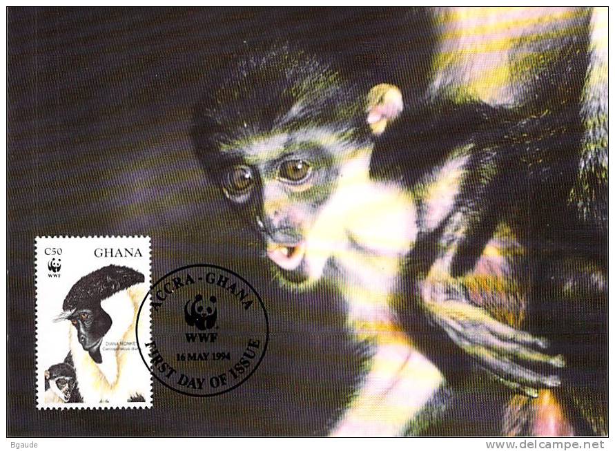 GHANA   WWF CARTE MAXIMUM NUM.YVERT  1576  PROTECTION DE LA NATURE  SINGES - Cartes-maximum