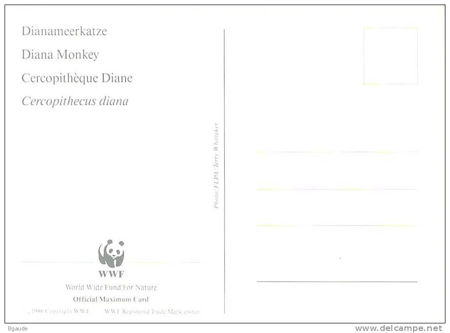 GHANA   WWF CARTE MAXIMUM NUM.YVERT  1576  PROTECTION DE LA NATURE  SINGES - Cartes-maximum