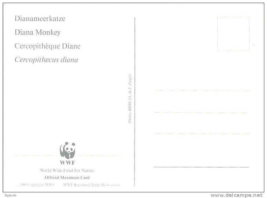 GHANA   WWF CARTE MAXIMUM NUM.YVERT  1579  PROTECTION DE LA NATURE  SINGES - Maximumkarten