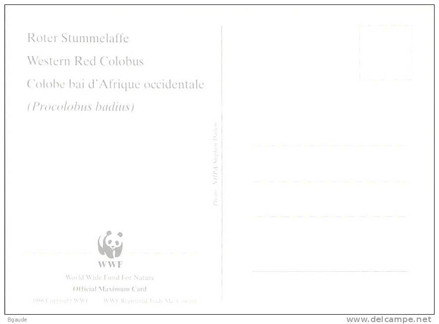 GUINEE BISSAU   WWF CARTE MAXIMUM NUM.YVERT  853  PROTECTION DE LA NATURE  SINGE COLOBE - Maximumkarten