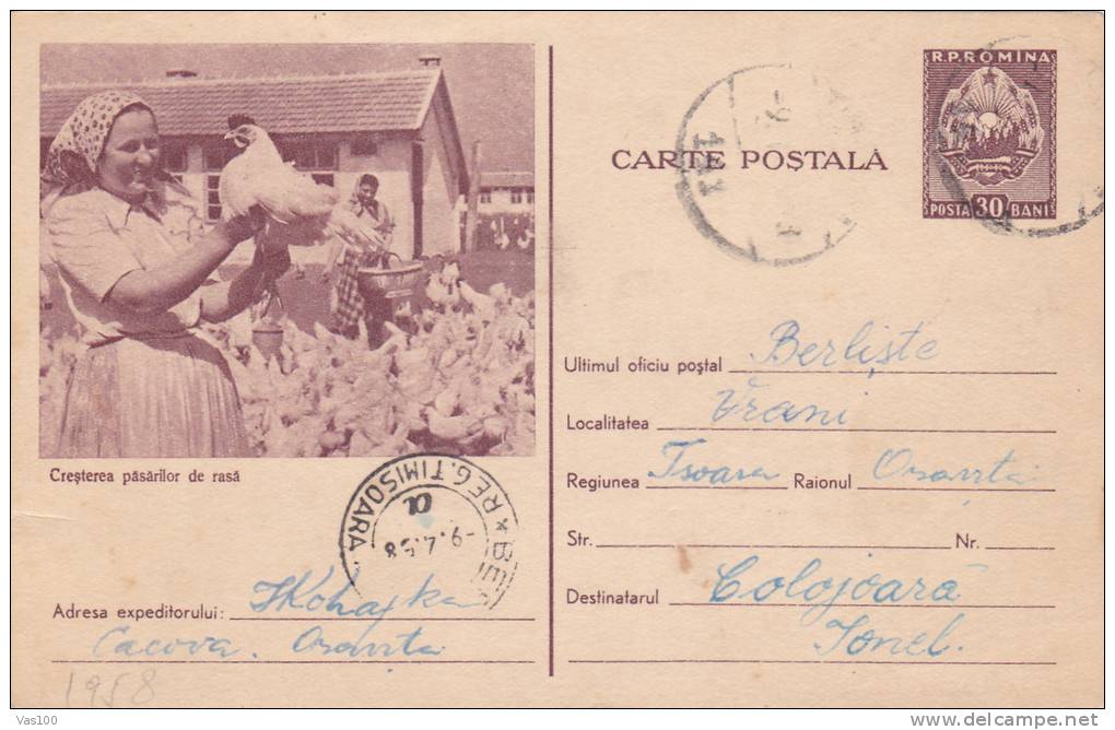 Chicken Eggs Hen Farm Farming Birds 1 STP 1956 Romania - Gallináceos & Faisanes