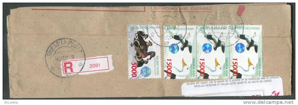 INDONESIA - Lettre Recommandée Avec Timbres Canards UMUKIA RAJA/Tadorna Radjah Et BELIBIS TOTOL/Dendrocygna Guttata - 71 - Patos