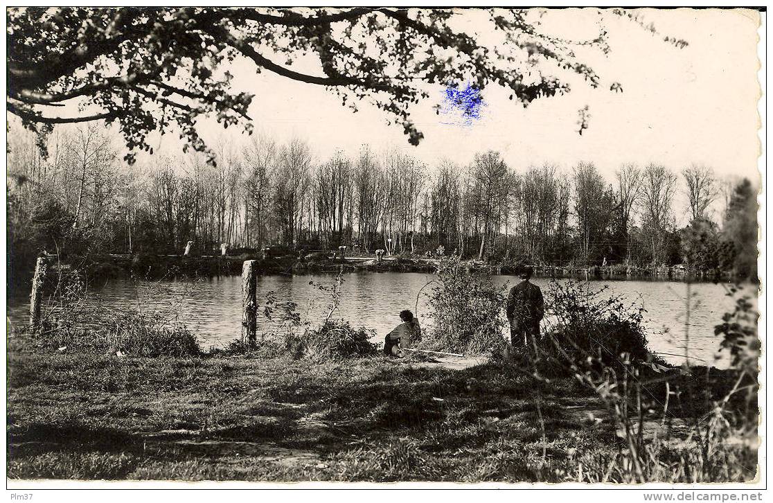 VERT LE PETIT - Etang Des Juifs - Vert-le-Petit