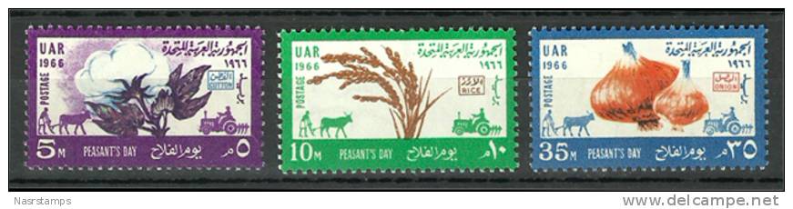Egypt - 1966 - ( Issued For Farmer’s Day ) - MNH (**) - Légumes