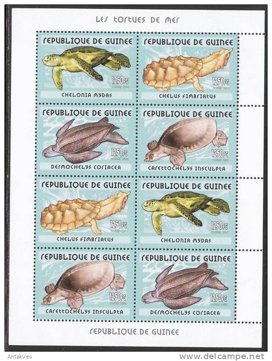 Gvinea 2001 Reptiles Turtles Sheet Of 8 MNH - Schildpadden