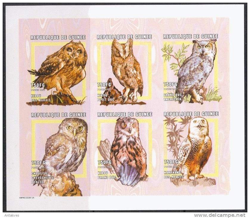 Gvinea 2001 Birds Owls Sheet Of 6 MNH MNH - Eulenvögel