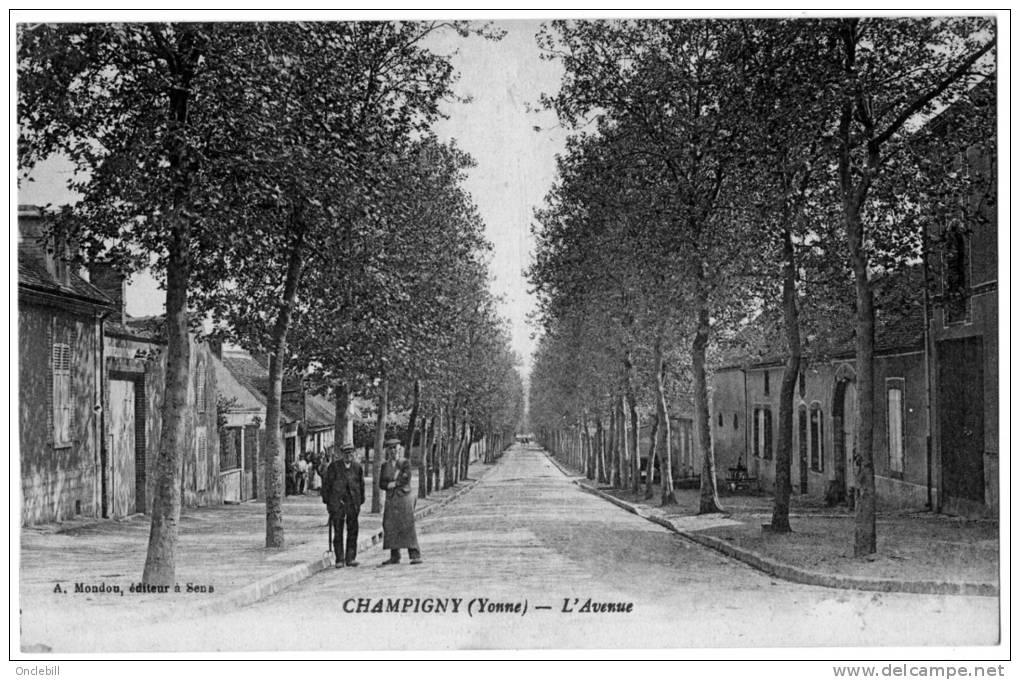 Champigny Sur Yonne Avenue Arbres Animation 1920 état Superbe - Champigny