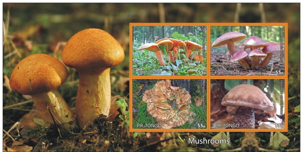 MUSHROOMS CHAMPIGNONS PADDESTOELEN PADDENSTOELEN MUSHROOMS PILZE SETAS FUNGHI  MNH Imperforated CINDERELLA - Fantasy Labels