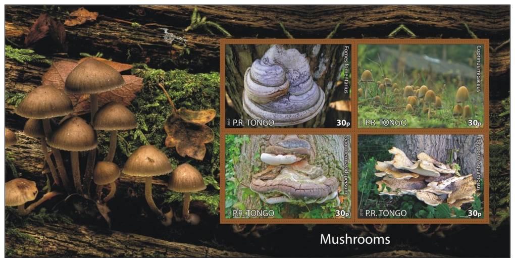 MUSHROOMS CHAMPIGNONS PADDESTOELEN PADDENSTOELEN MUSHROOMS PILZE SETAS FUNGHI  MNH Imperforated CINDERELLA - Fantasy Labels