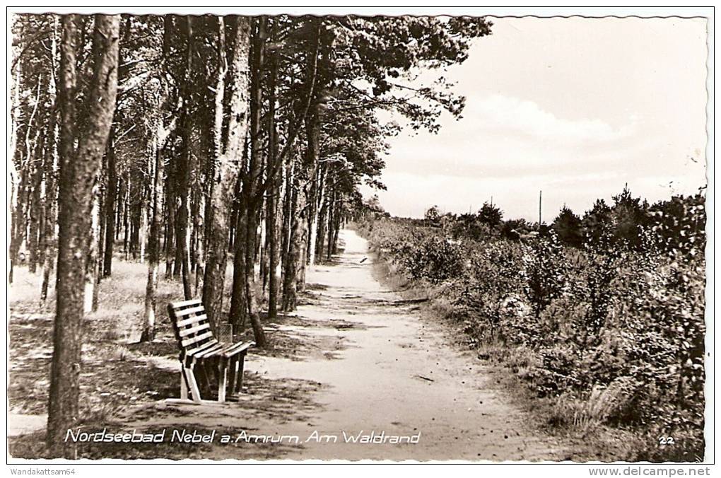 AK Nordseebad Nebel A. Amrum Am Waldrand 11. 6. 64. -- 7 2279 NEBEL Nordseebad Auf Amrum Strand-Wald-Dünen Leuchtturm Na - Nordfriesland