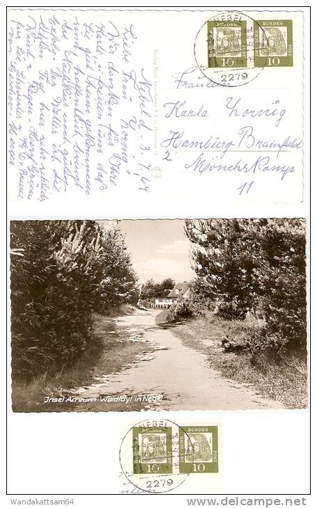 AK Insel Amrum Waldidyll In Nebel -3. 7. 64. -19 2279 NEBEL Nordseebad Auf Amrum Strand-Wald-Dünen Leuchtturm Nach Hambu - Nordfriesland