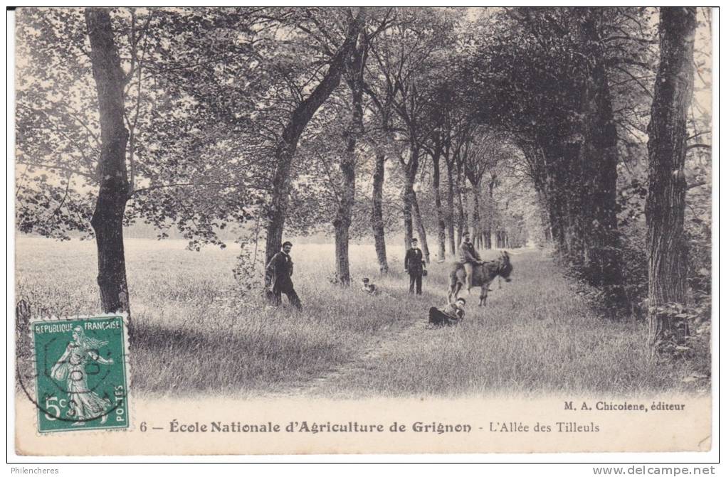 CPA - (78) Grignon - école Nationale D´agriculture - L'allée Des Tilleuls (obl. 1909) - Grignon