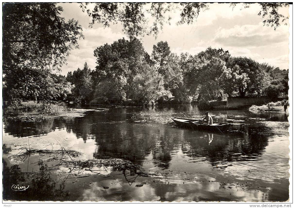 MONTBAZON - Bords De L'Indre - Montbazon