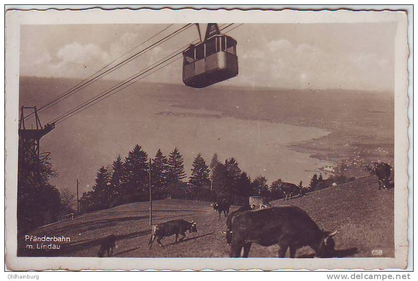 0199v: Österreich, Bregenz, Pfänderbahn M. Lindau, Ungelaufene AK Ca. 1950 - Bregenz