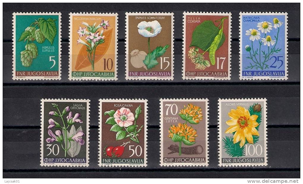 Yugoslavia 1955. Flowers MNH - Unused Stamps