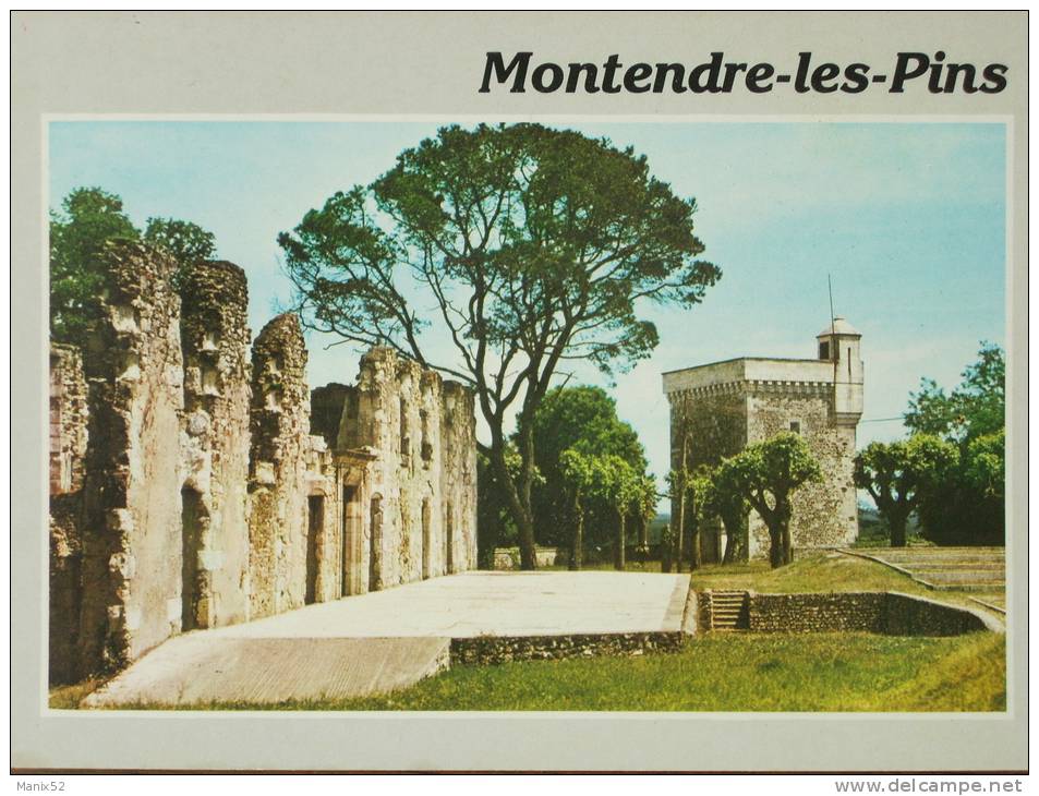 17 - MONTENDRE-les-PINS - Les Ruines Du Château Avec La Tour Carrée. - Montendre