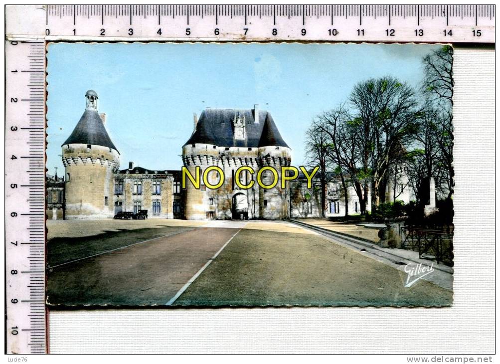 JONZAC -  Le Château - Jonzac