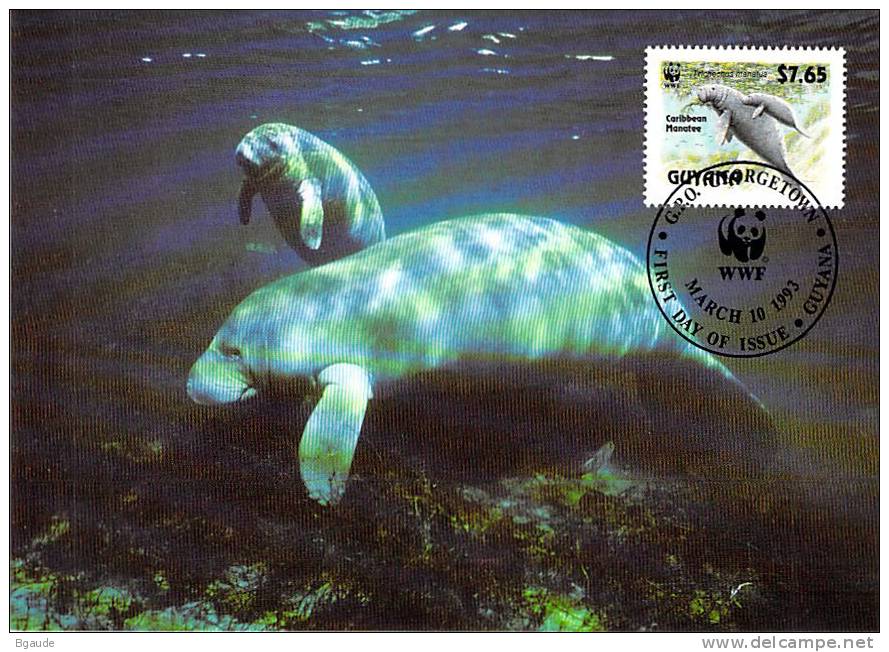 GUYANE    WWF CARTE MAXIMUM NUM.YVERT  2878  PROTECTION DE LA NATURE  LAMENTIN - Maximum Cards