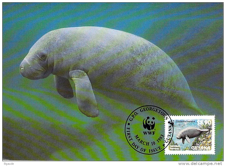 GUYANE    WWF CARTE MAXIMUM NUM.YVERT  2879  PROTECTION DE LA NATURE  LAMENTIN - Cartes-maximum