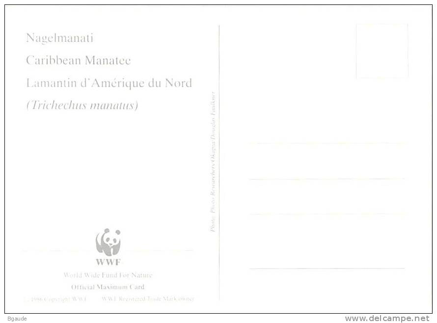 GUYANE    WWF CARTE MAXIMUM NUM.YVERT  2879  PROTECTION DE LA NATURE  LAMENTIN - Cartes-maximum