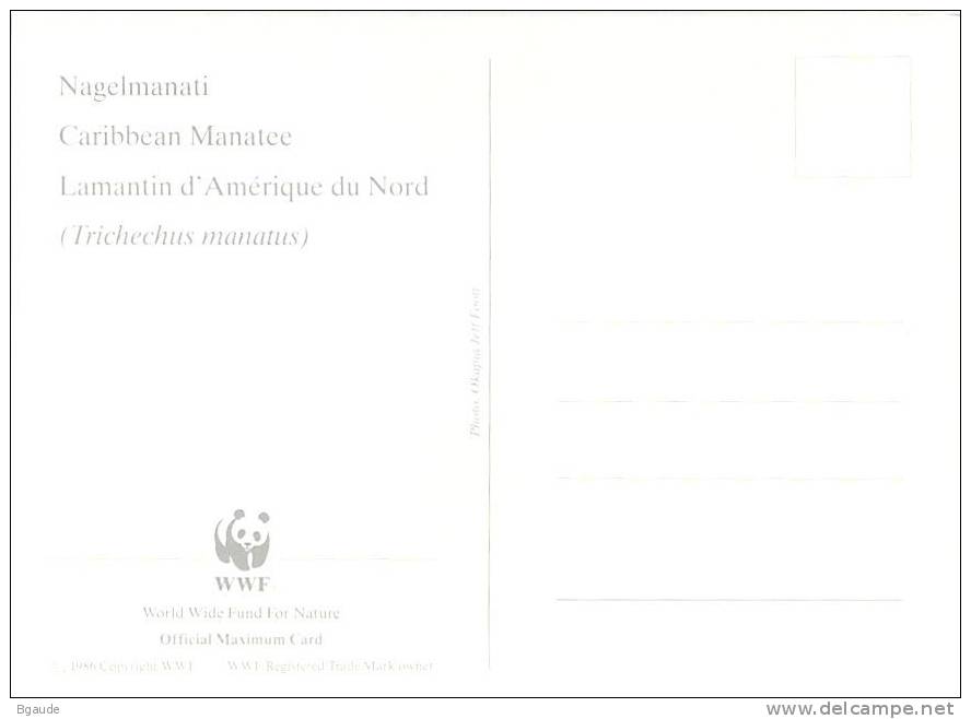 GUYANE    WWF CARTE MAXIMUM NUM.YVERT  2880  PROTECTION DE LA NATURE  LAMENTIN - Maximum Cards