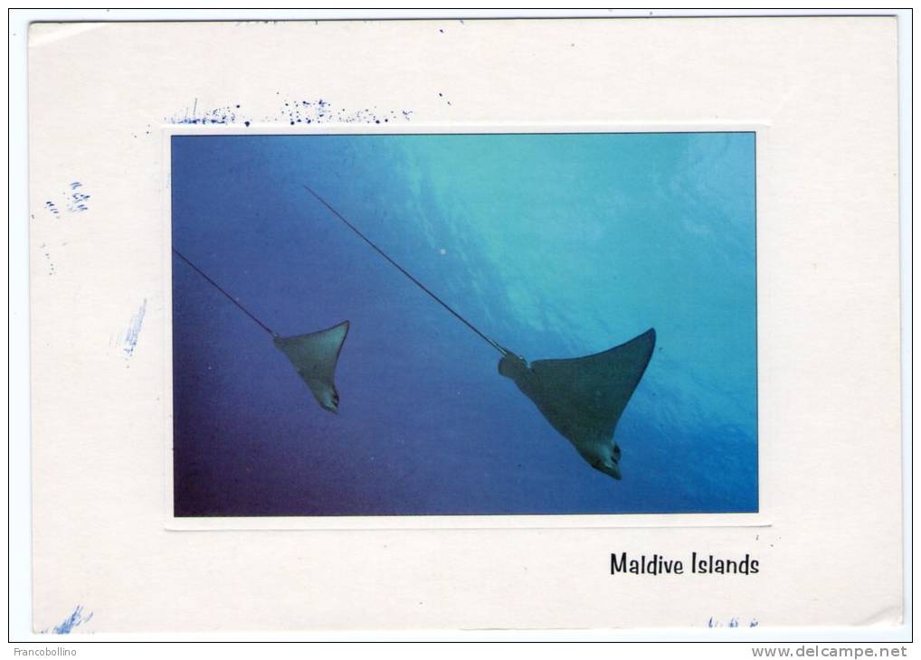 MALDIVE ISLANDS - EAGLE RAYS - FISH / THEMATIC STAMP-FLOWER - Maldives