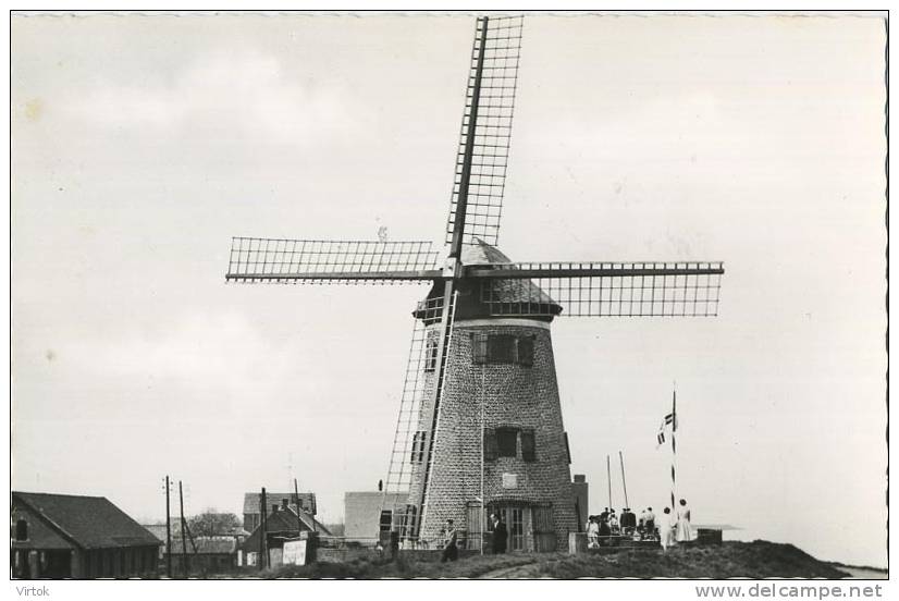 DOEL :   Molen Museum  (  Windmolen ) - Beveren-Waas