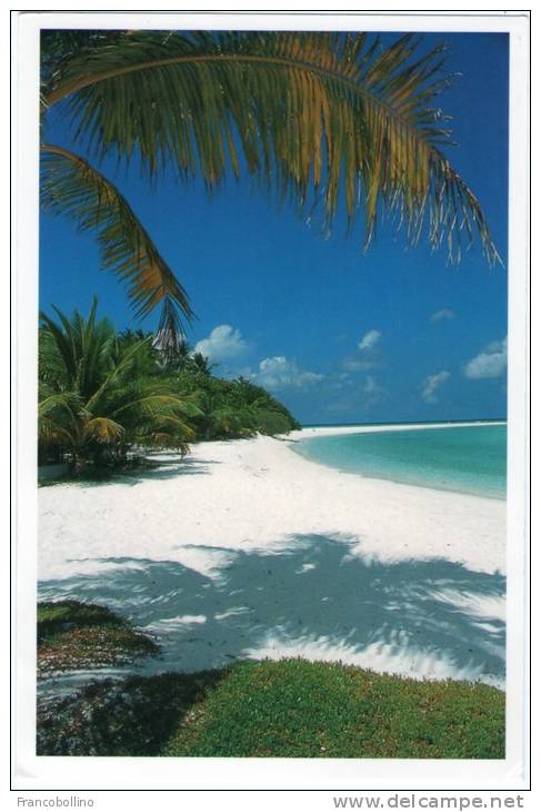 MALDIVE ISLANDS - THE LOST REFUGE / THEMATIC STAMP-BIRD - Maldive