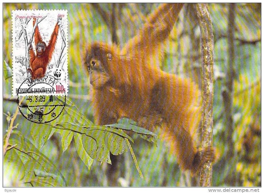 INDONESIE     WWF CARTE MAXIMUM NUM.YVERT  1175  PROTECTION DE LA NATURE SINGE ORANG OUTANG - Maximum Cards