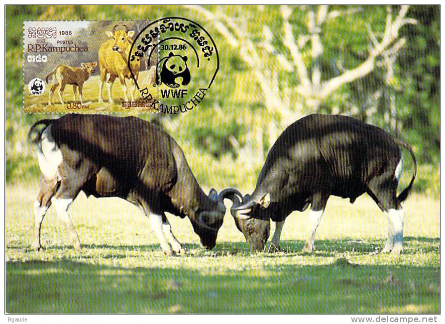 KAMPUCHEA      WWF CARTE MAXIMUM NUM.YVERT  697  PROTECTION DE LA NATURE  BANTENG - Cartes-maximum