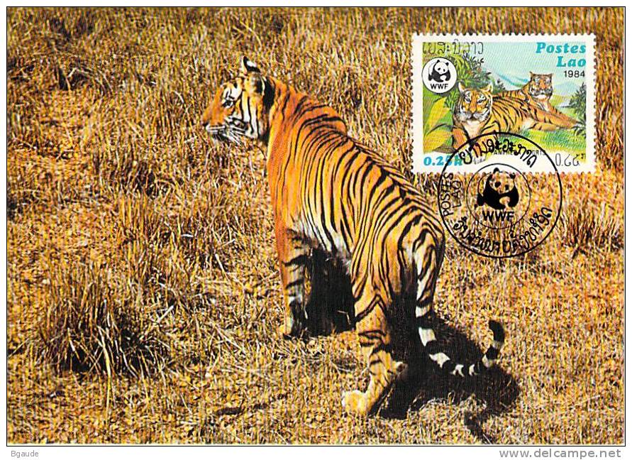 LAOS    WWF CARTE MAXIMUM NUM.YVERT  521  PROTECTION DE LA NATURE TIGRE - Maximumkarten