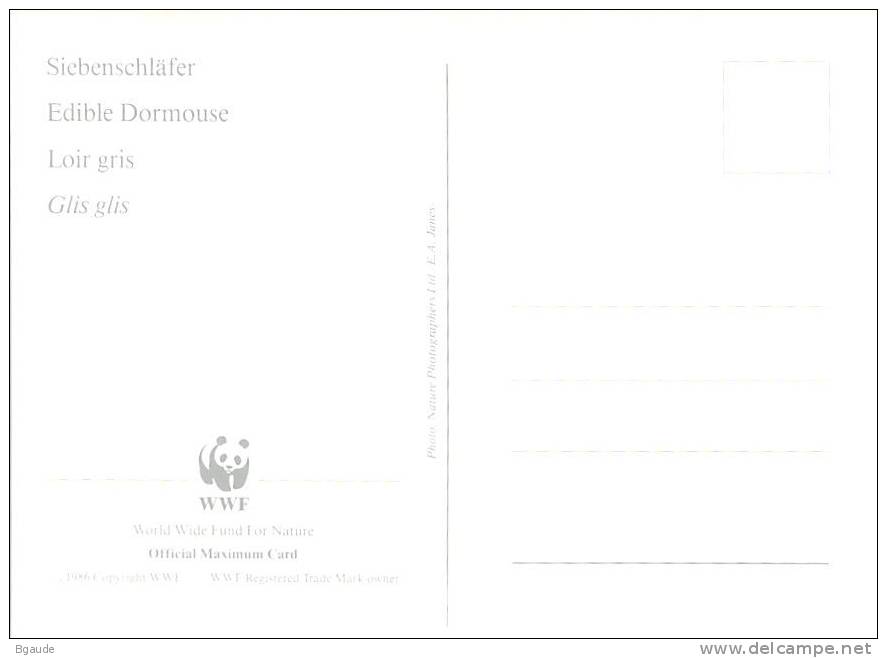 LETTONIE  WWF CARTE MAXIMUM NUM.YVERT  346  PROTECTION DE LA NATURE LOIR - Maximum Cards