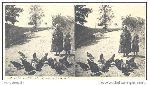 CARTE STEREO SCOPIQUES )) SCENES ANIMEES  LL 9  LE REPAS DES POULES /  ANIMEE  ** - Stereoscope Cards