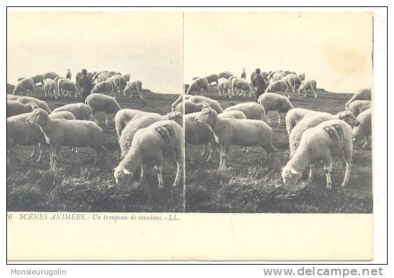 CARTE STEREO SCOPIQUES )) SCENES ANIMEES  LL  16  Un Troupeau De Moutons /  ANIMEE - Stereoscope Cards