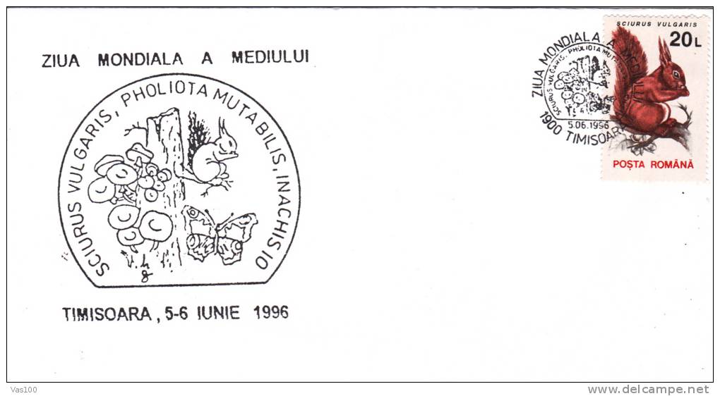 Squirrel,écureuil,1996,covers  Stationery,entier Postal , Romania. - Roedores