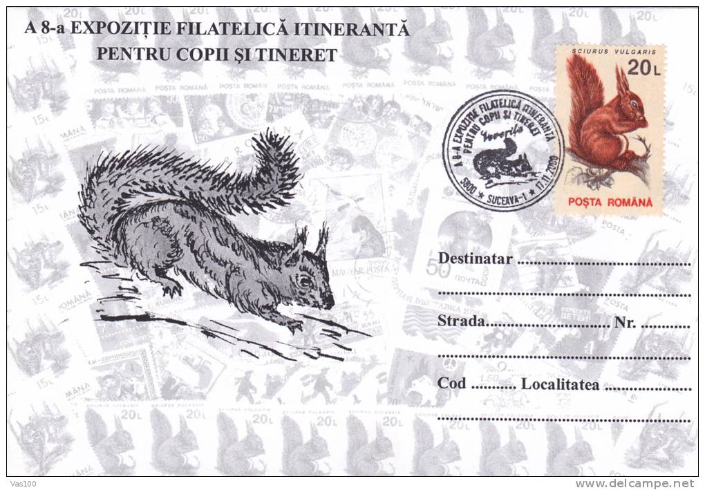 Squirrel,écureuil,2000,special Covers ,obliteration Concordante Suceava -  Romania. - Roedores