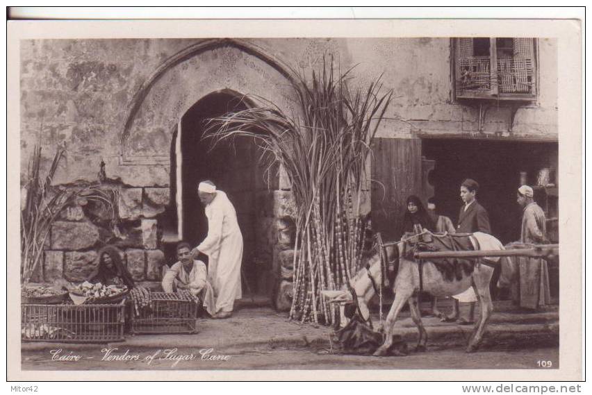 80te-Costumi-Mestieri/Costumes-Artisanat-Cairo-Egitt O -Venditori Di Canna Da Zucchero. V.1930 X Napoli - Personnes