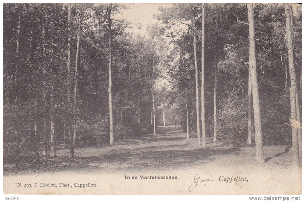 CAPPELEN: IN DE MASTEBOSSCHEN-1902 - Kapellen