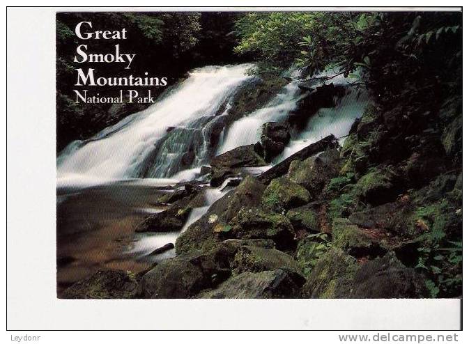 Great Smoky Mountains, National Park - USA Nationalparks