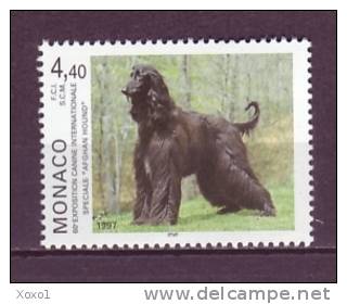 Monaco 1996 Dogs 1v MNH** O989 - Hunde